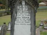 image of grave number 453700